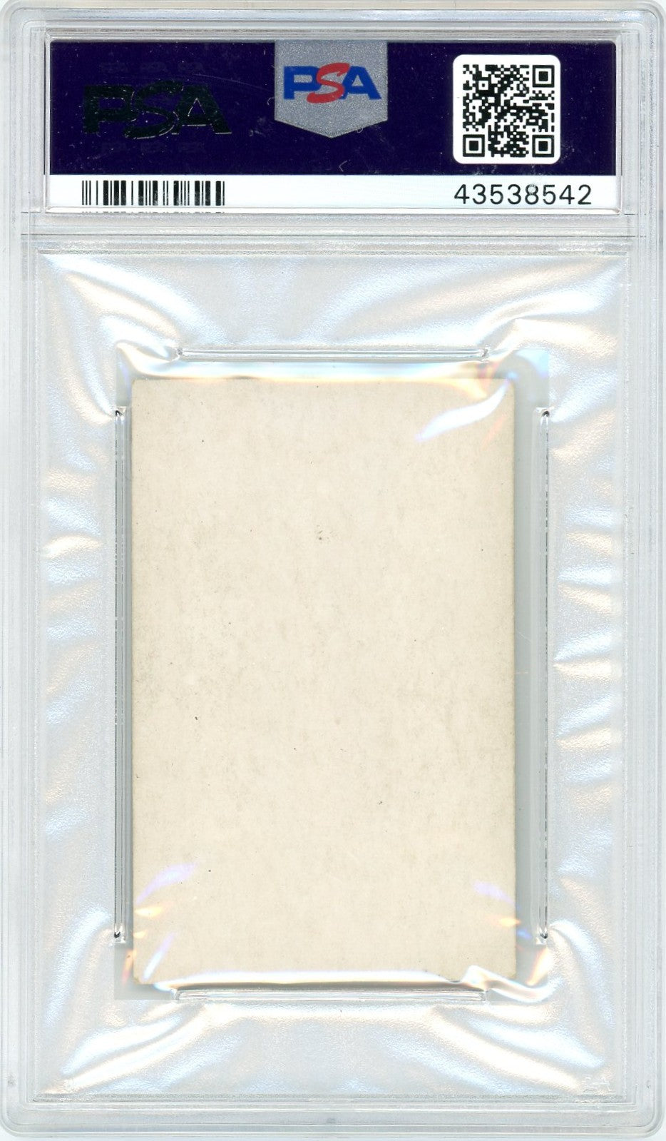 Back