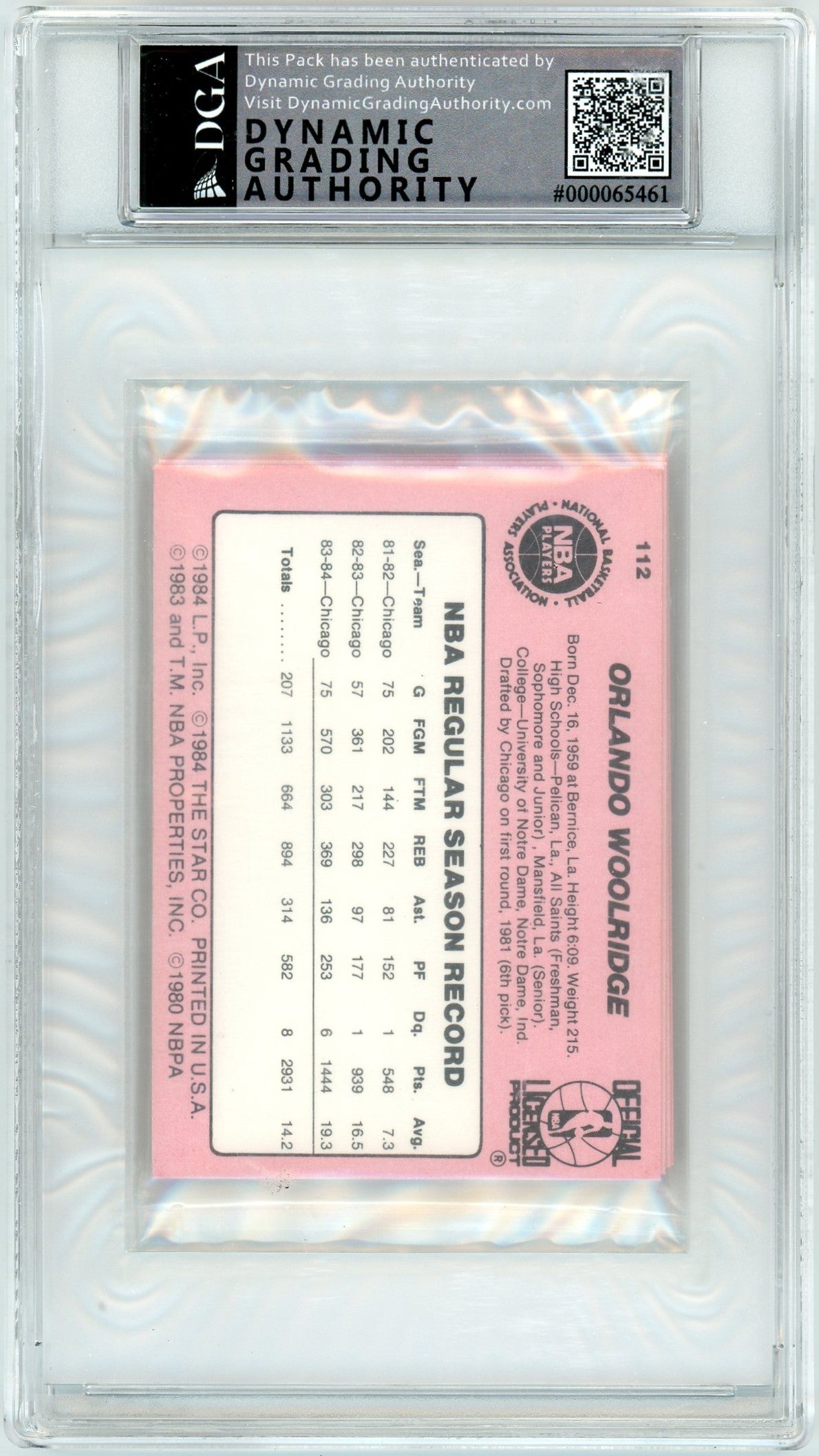 1984 Star Chicago Bulls Team Bag DGA 8