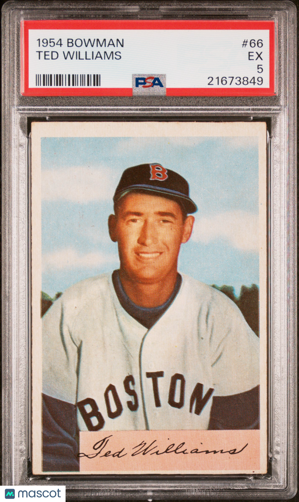 1954 Bowman Ted Williams #66 PSA 5