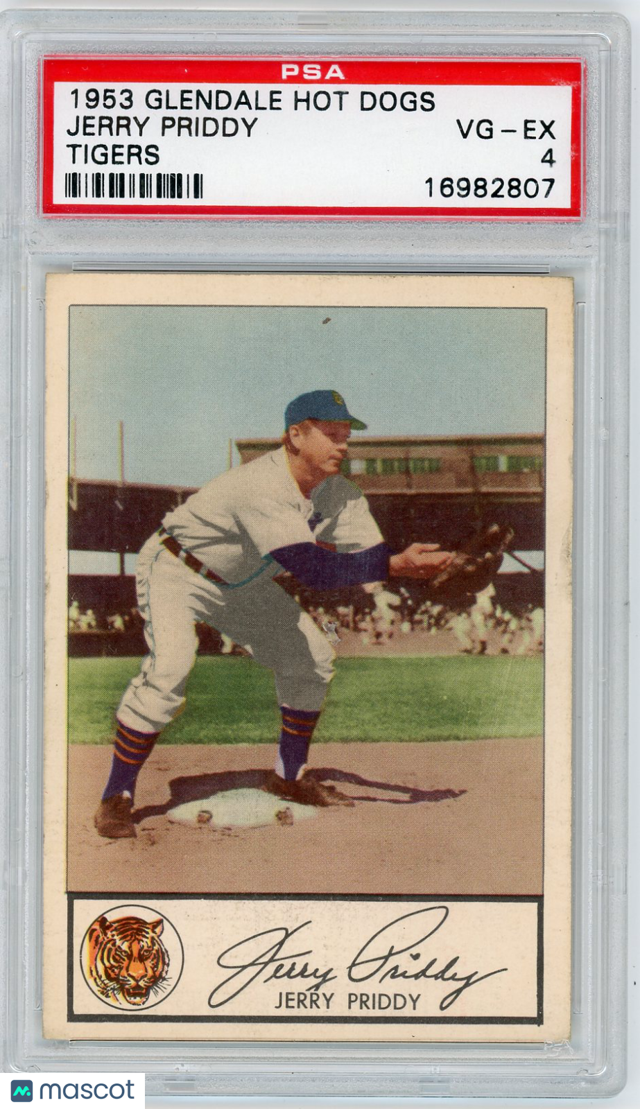 1953 Glendale Hot Dogs Tigers Jerry Priddy PSA 4