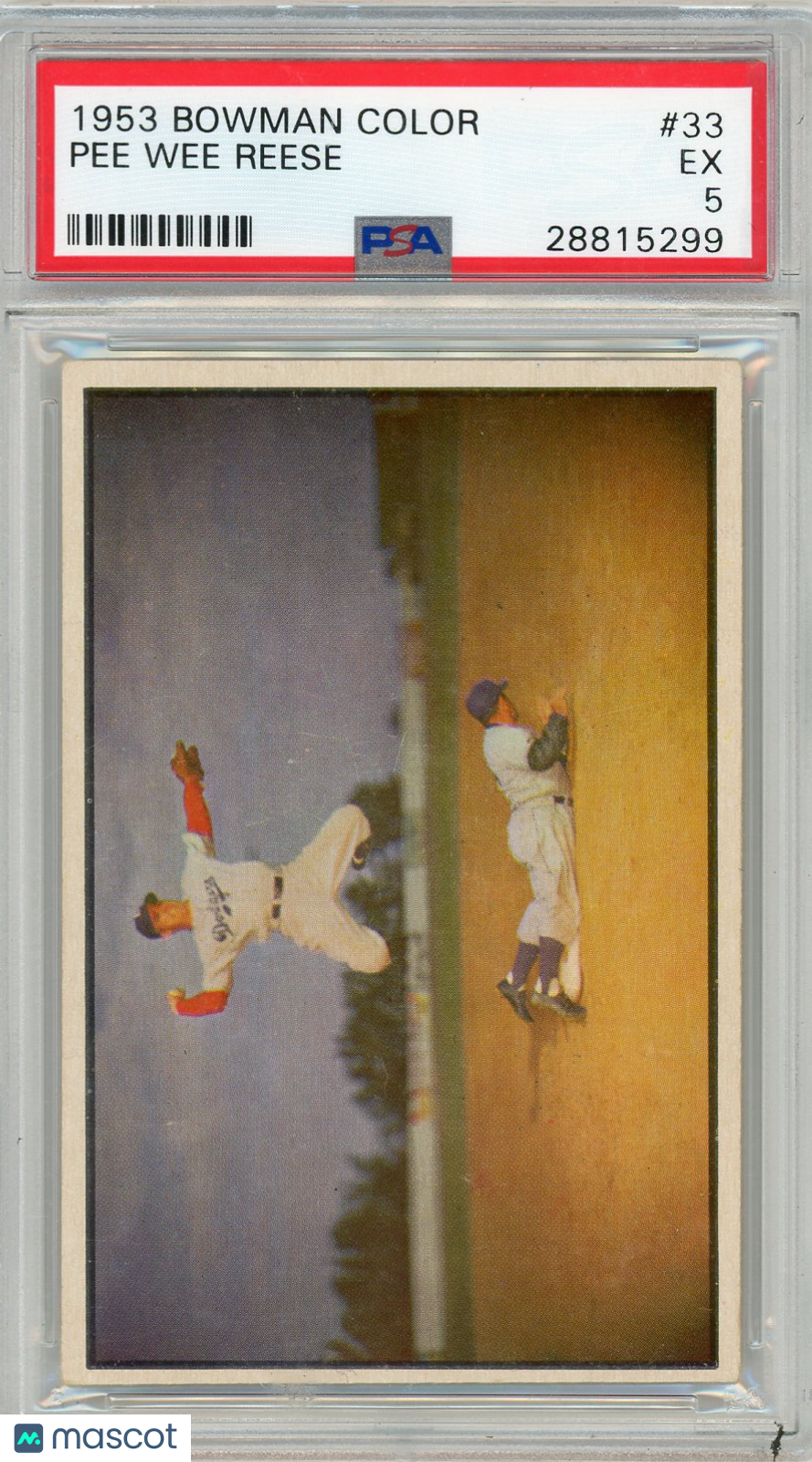 1953 Bowman Color Pee Wee Reese #33 PSA 5