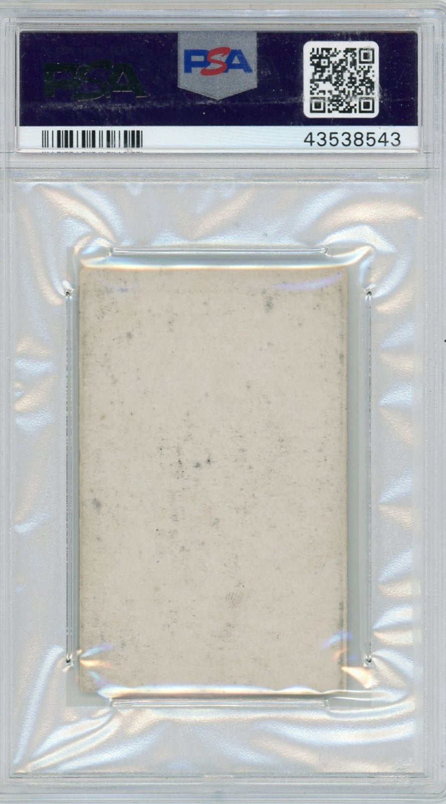 1933-36 Zeenut Pacific Coast League B&W Salkeld Hand Cut PSA 4