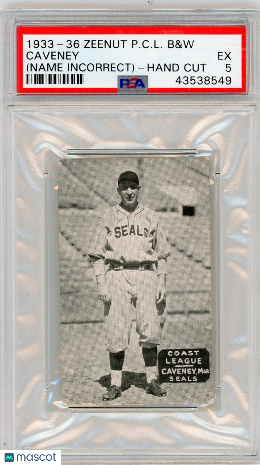 1933-36 Zeenut Pacific Coast League B&W Caveney (Name Incorrect) Hand Cut PSA 5