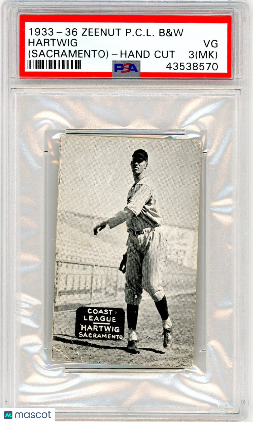 1933-36 Zeenut Pacific Coast League B&W Hartwig (Sacramento) Hand Cut PSA 3 MK