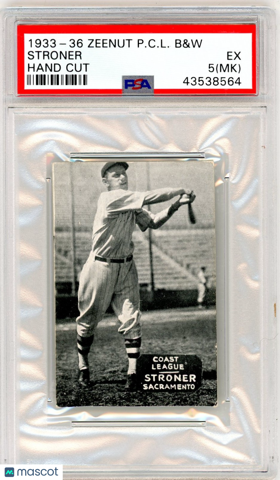 1933-36 Zeenut Pacific Coast League B&W Stroner Hand Cut PSA 5 MK