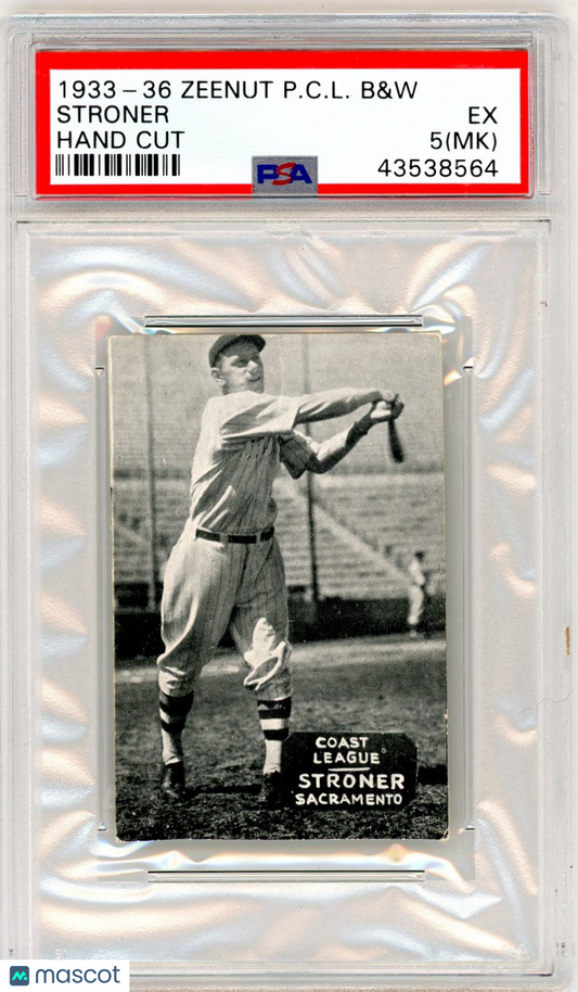1933-36 Zeenut Pacific Coast League B&W Stroner Hand Cut PSA 5 MK
