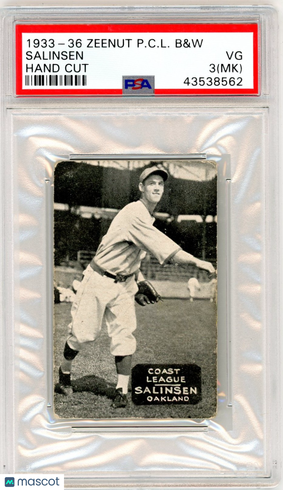 1933-36 Zeenut Pacific Coast League B&W Salinsen Hand Cut PSA 3 MK