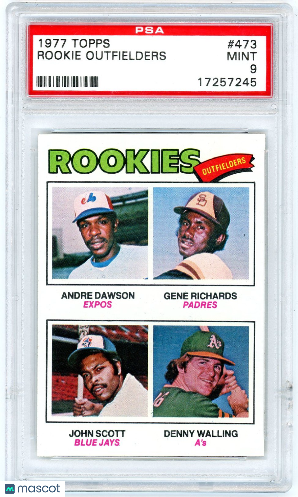1977 Topps Rookie Outfielders #473 PSA 9