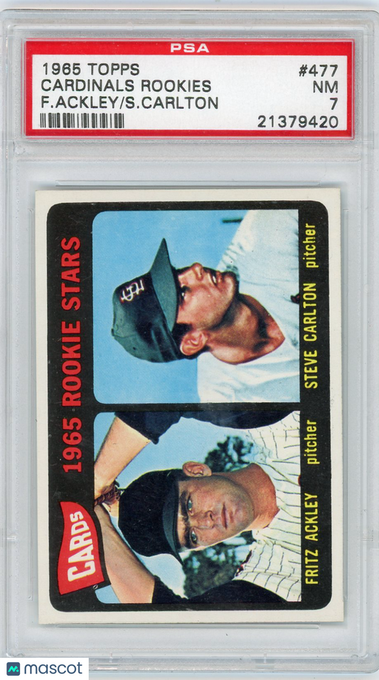 1965 Topps Cardinals Rookies #477 F. Ackley S. Carlton PSA 7
