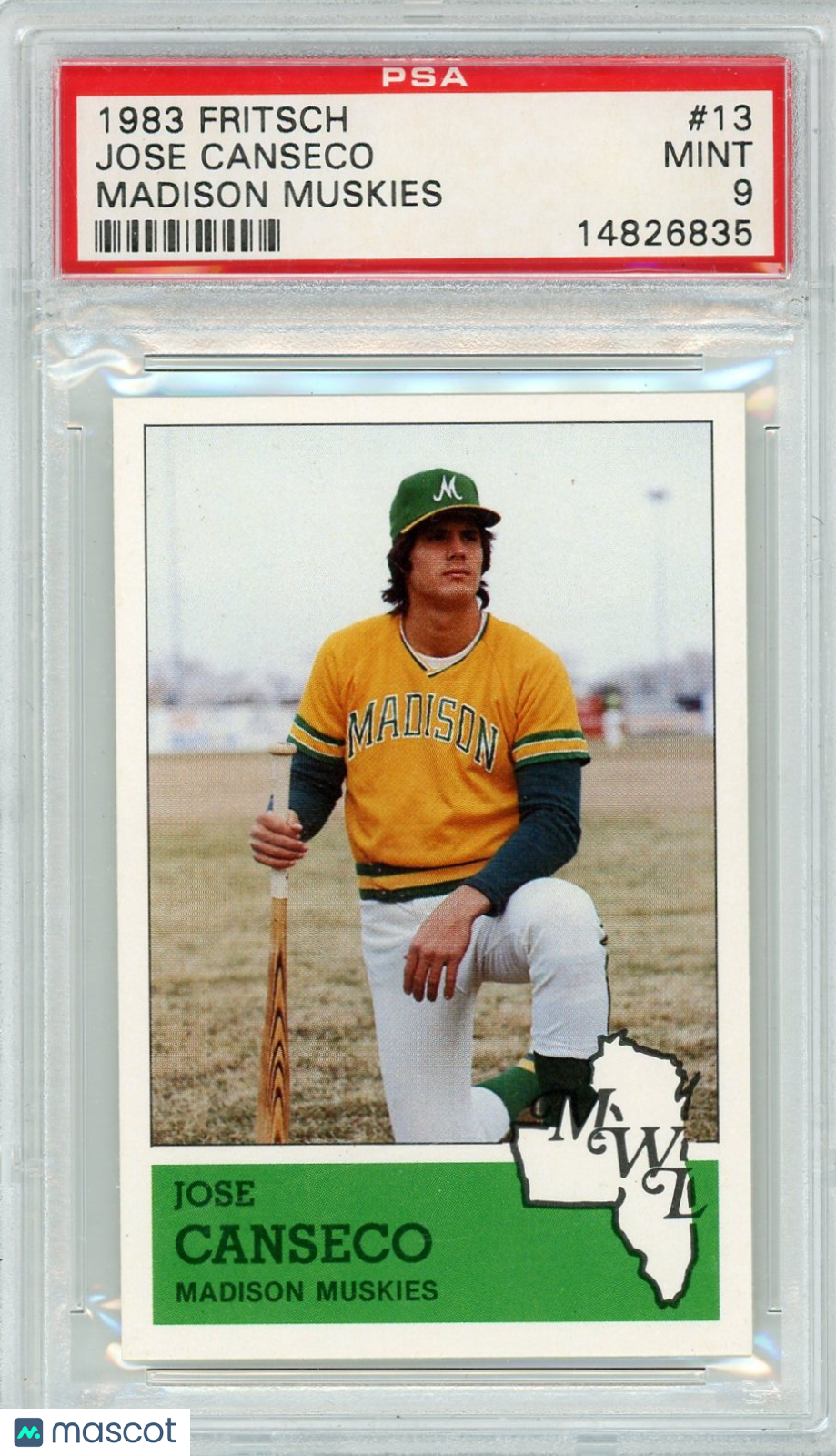 1983 Fritsch Madison Muskies Jose Canseco #13 PSA 9
