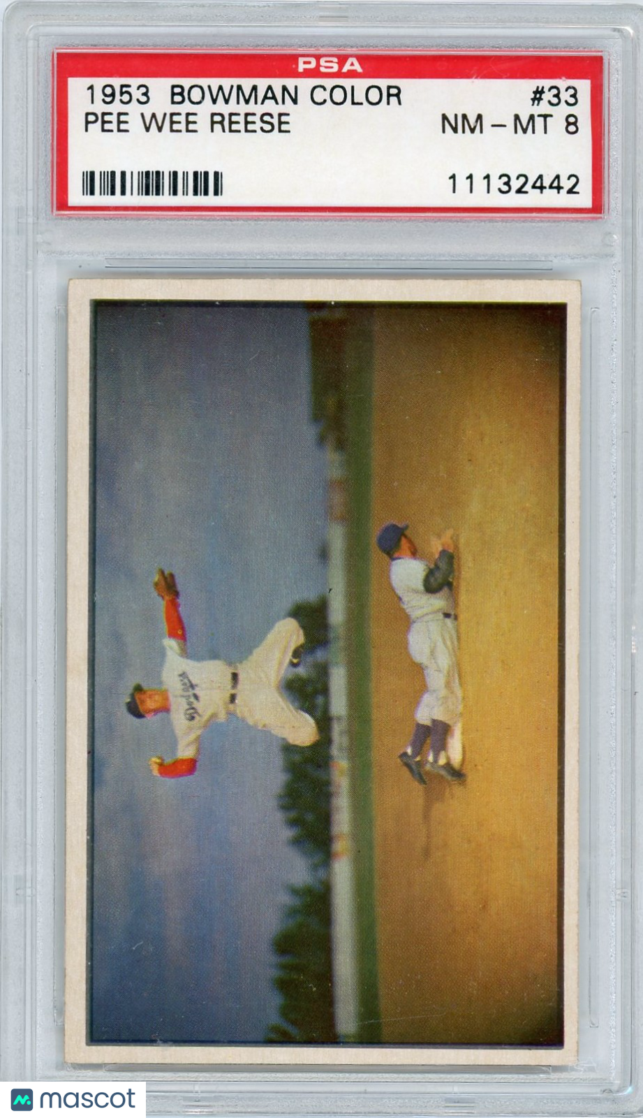 1953 Bowman Color Pee Wee Reese #33 PSA 8