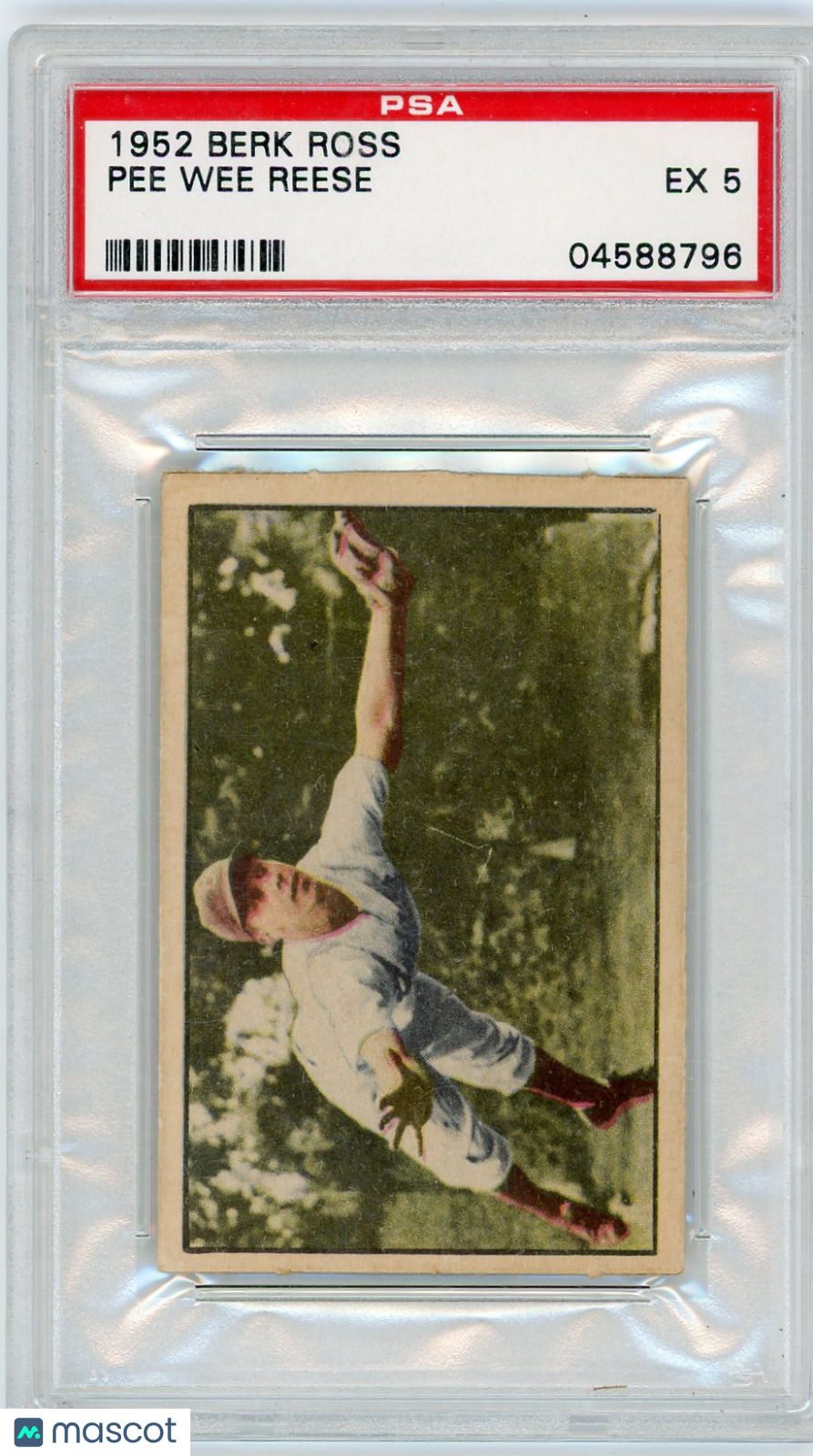 1952 Berk Ross Pee Wee Reese PSA 5