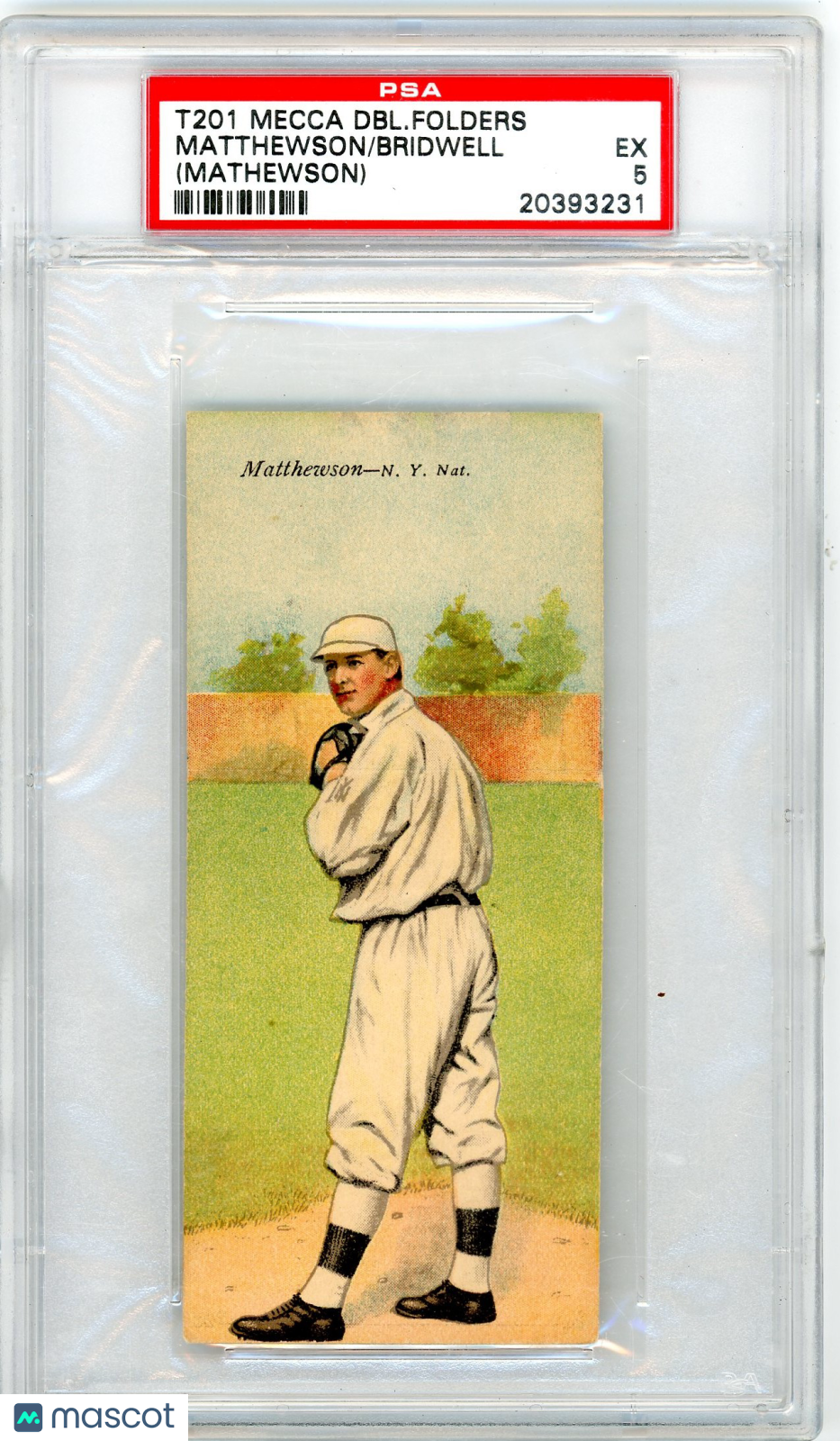 1911 T201 Mecca Double Folders Bridwell Matthewson (Mathewson) PSA 5