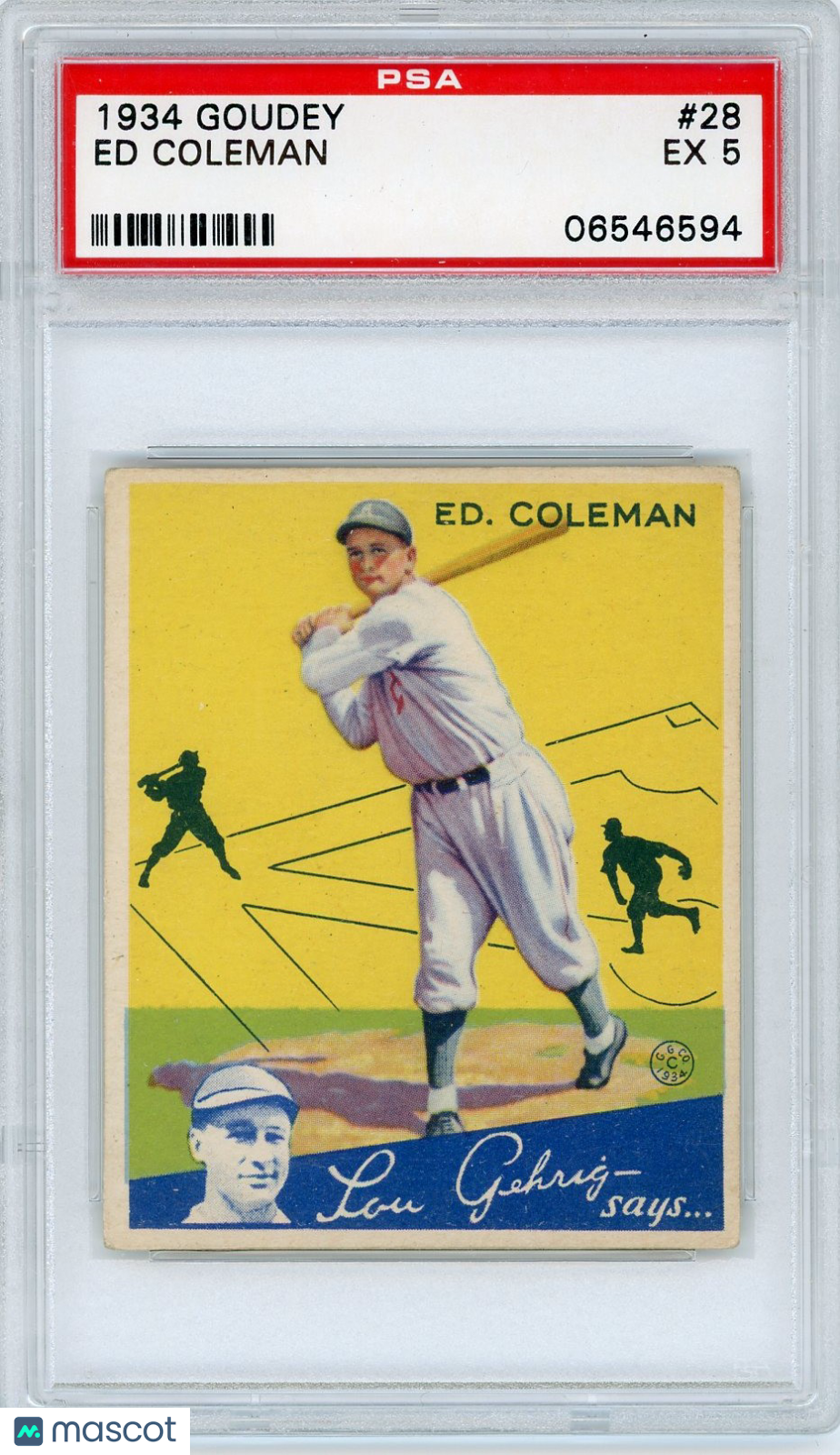 1934 Goudey Ed Coleman #28 PSA 5