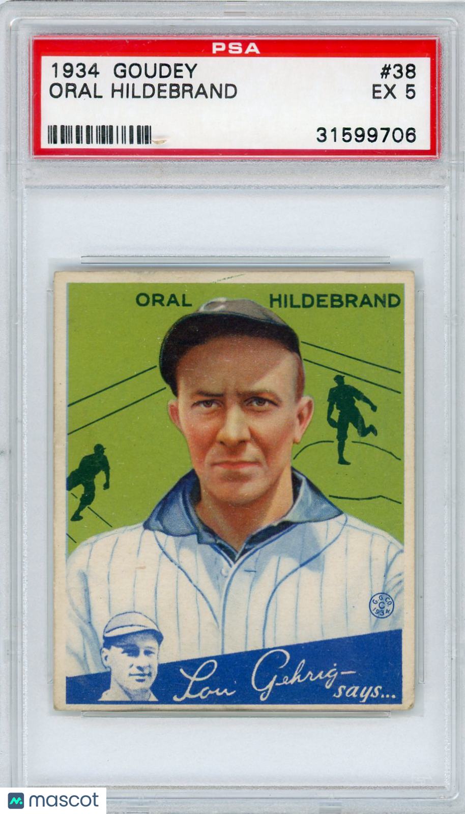 1934 Goudey Oral Hildebrand #38 PSA 5
