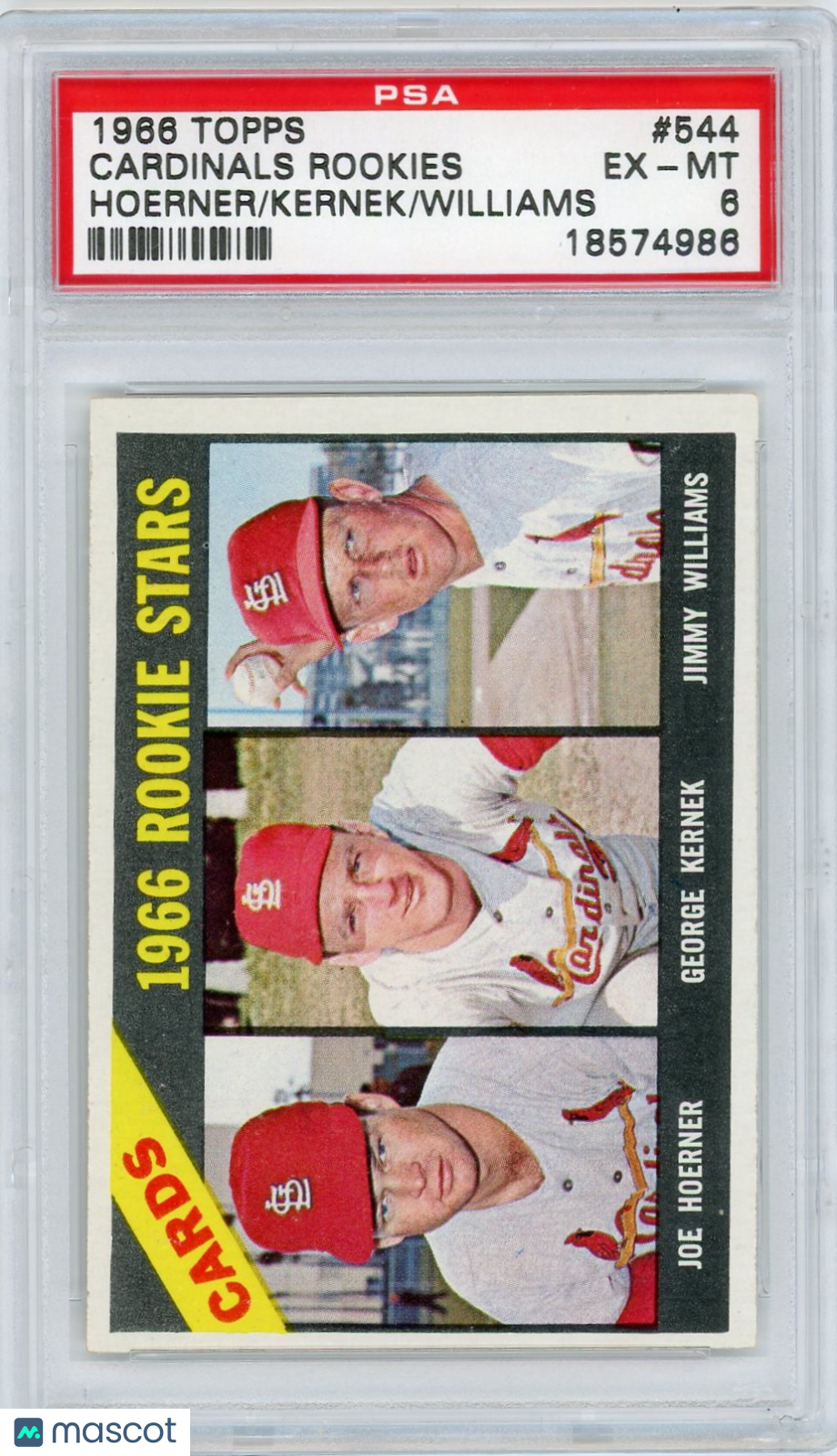 1966 Topps Cardinals Rookies #544 Hoerner Kernek Williams PSA 6