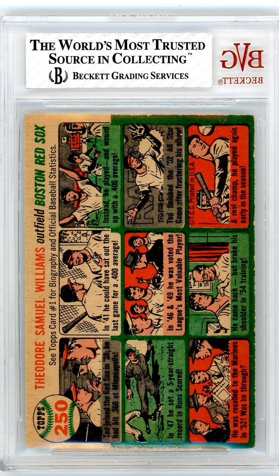 1954 Topps Ted Williams #250 BVG 6