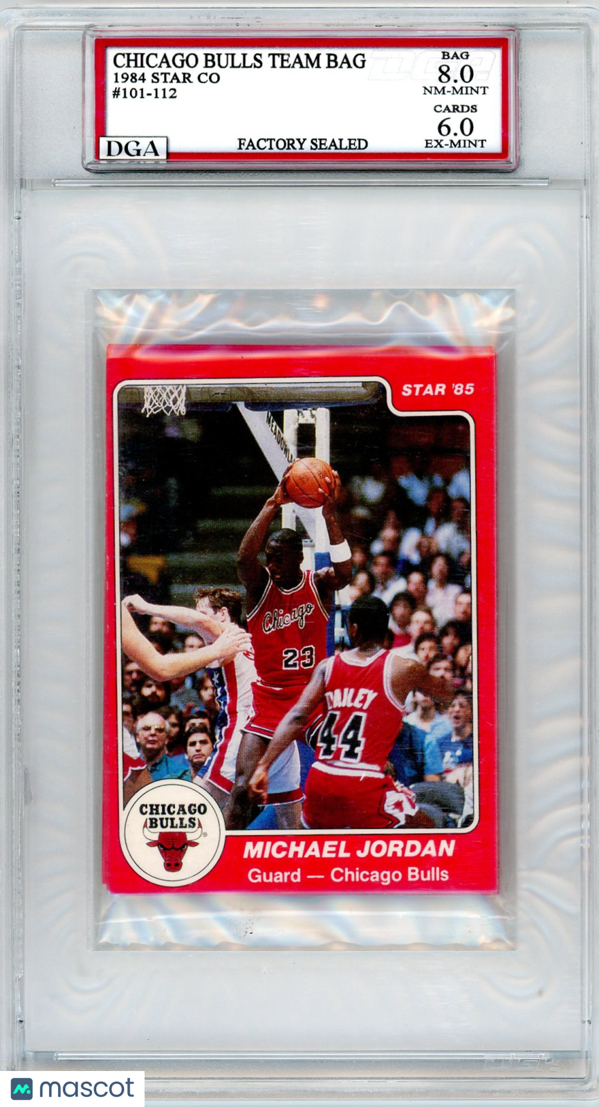 1984 Star Chicago Bulls Team Bag DGA 8