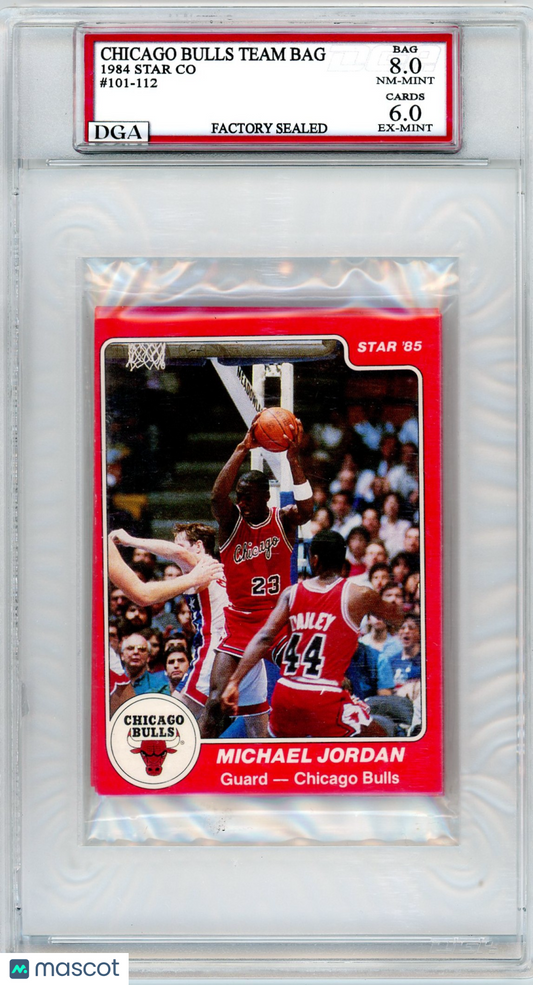 1984 Star Chicago Bulls Team Bag DGA 8