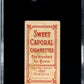 1909 Sweet Caporal (T206) Mordecai Brown Portrait SGC 1