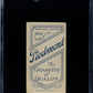 1910 Piedmont Cigarettes (T206) Spike Shannon SGC 4.5