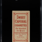 1909 Sweet Caporal (T206) Lee Tannehill SGC 3.5