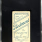 1910 Piedmont Cigarettes (T206) Danny Murphy Throwing SGC 1.5