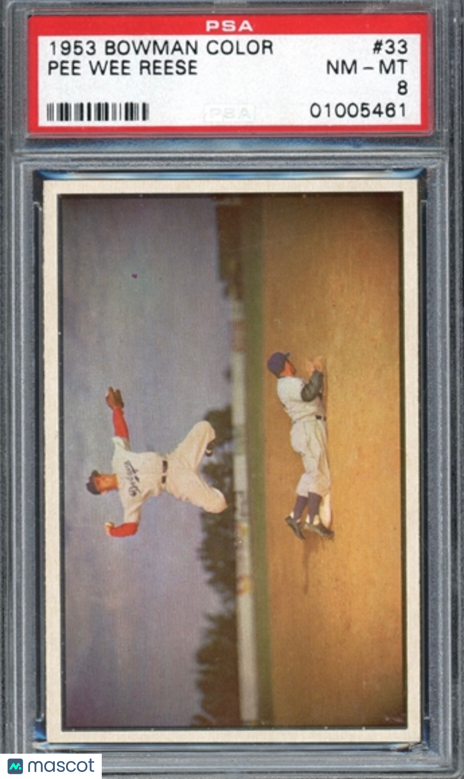 1953 Bowman Color Pee Wee Reese #33 PSA 8