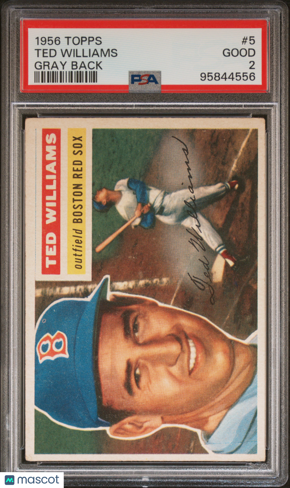 1956 Topps Ted Williams #5 Gray Back PSA 2