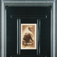 1948 Topps Magic Photo Baseball Hall Of Fame Cy Young #16K PSA 5