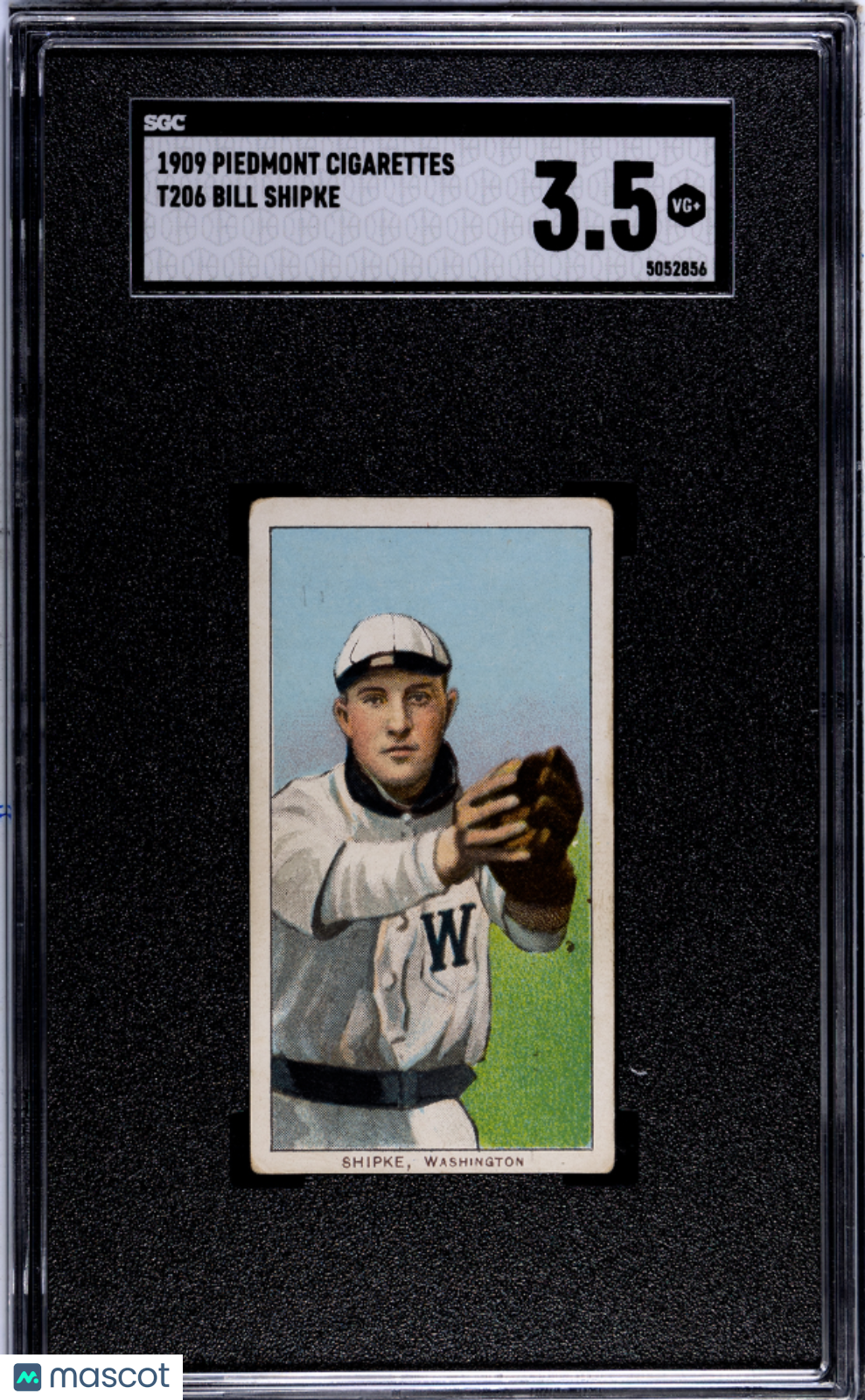 1909 Piedmont Cigarettes (T206) Bill Shipke SGC 3.5