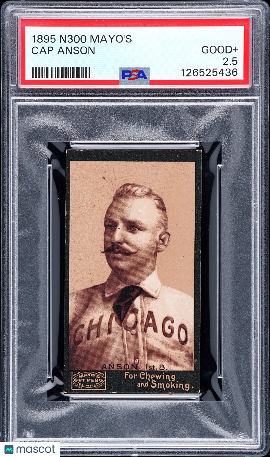 1895 N300 Mayo's Cut Plug Cap Anson PSA 2.5