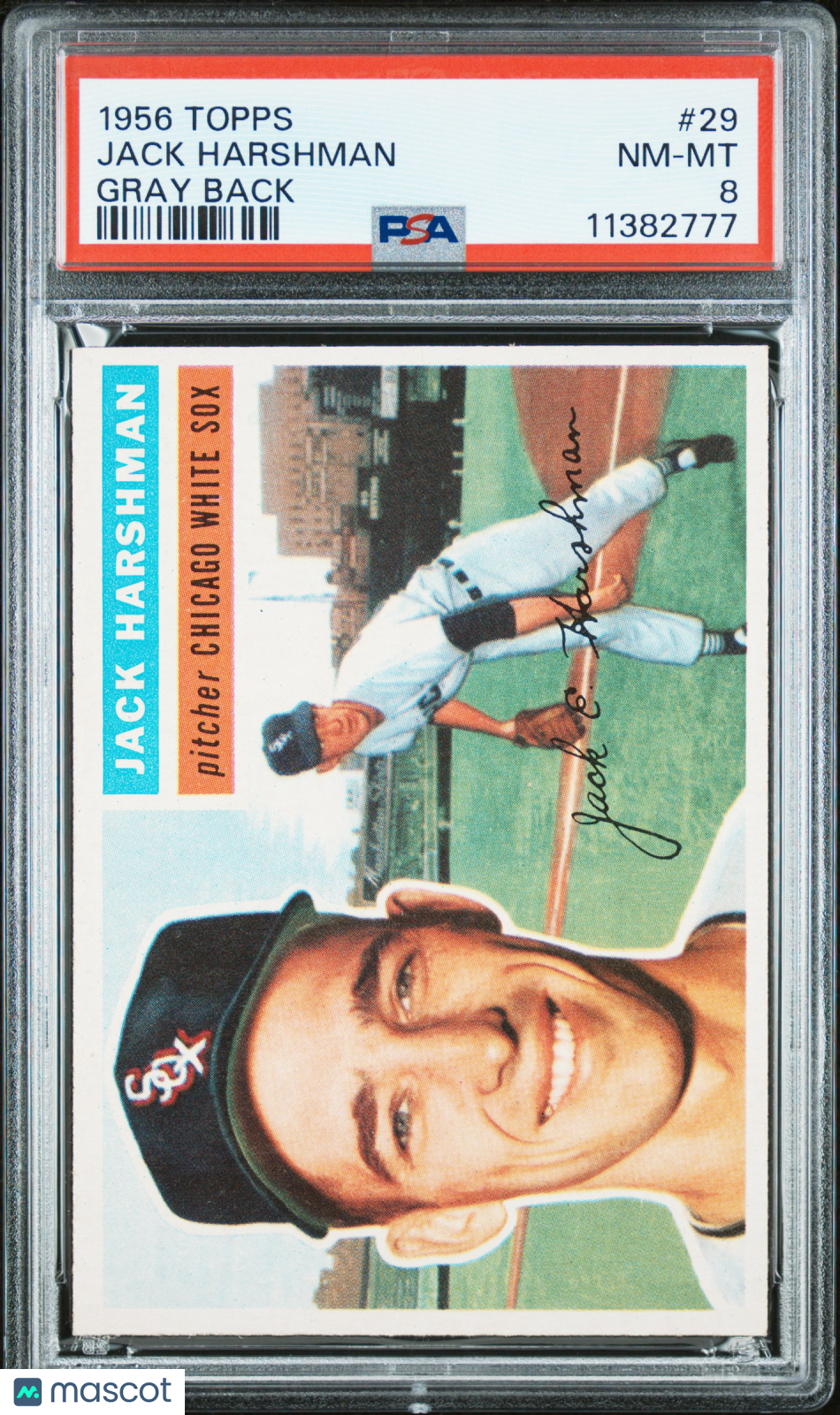 1956 Topps Jack Harshman #29 Gray Back PSA 8