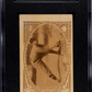 1922 American Caramel Co. (E120) Stanley Harris SGC 3