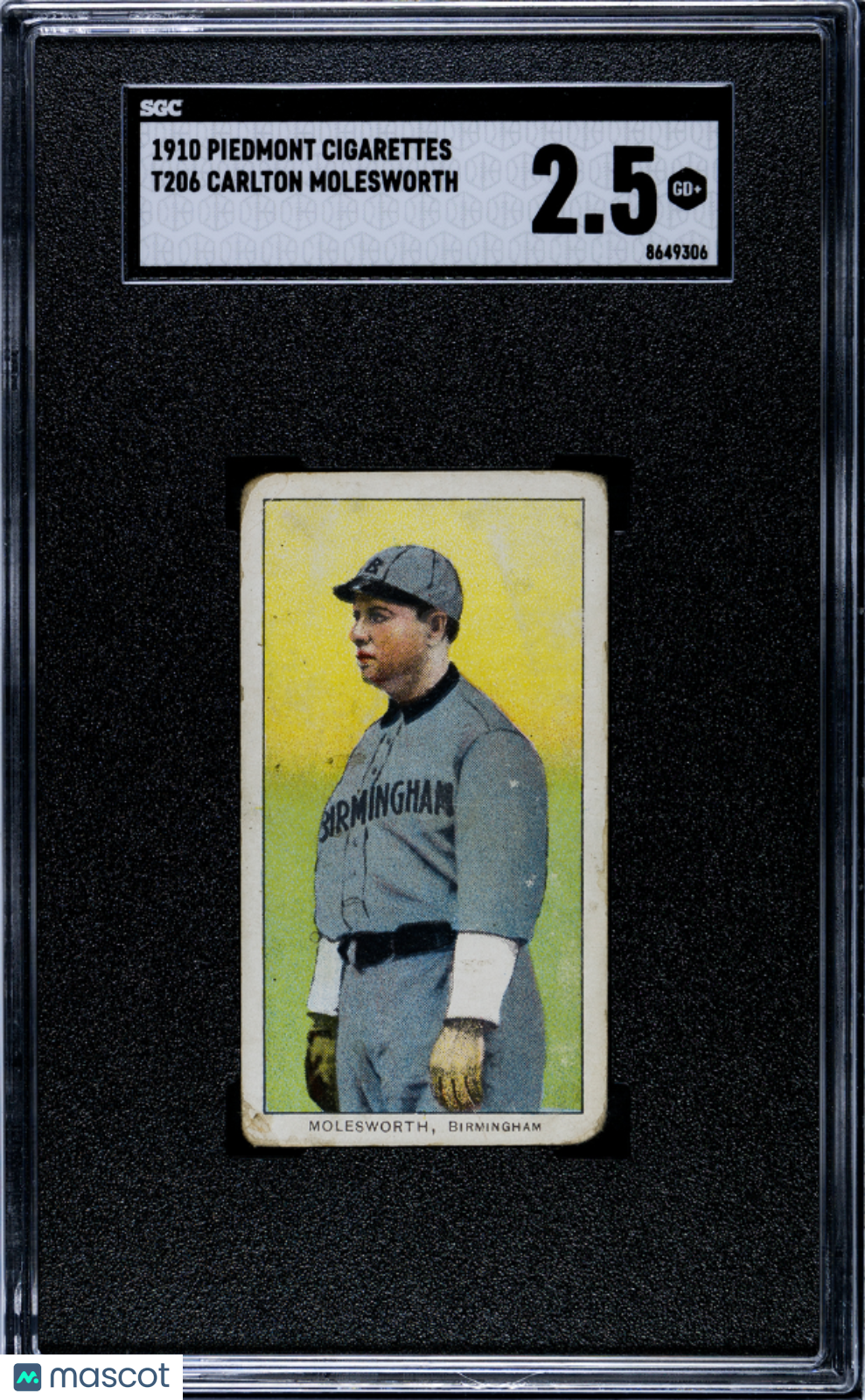 1910 Piedmont Cigarettes (T206) Carlton Molesworth SGC 2.5