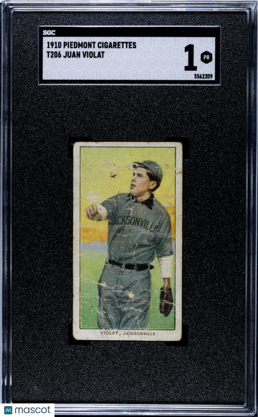 1910 Piedmont Cigarettes (T206) Juan Violat SGC 1