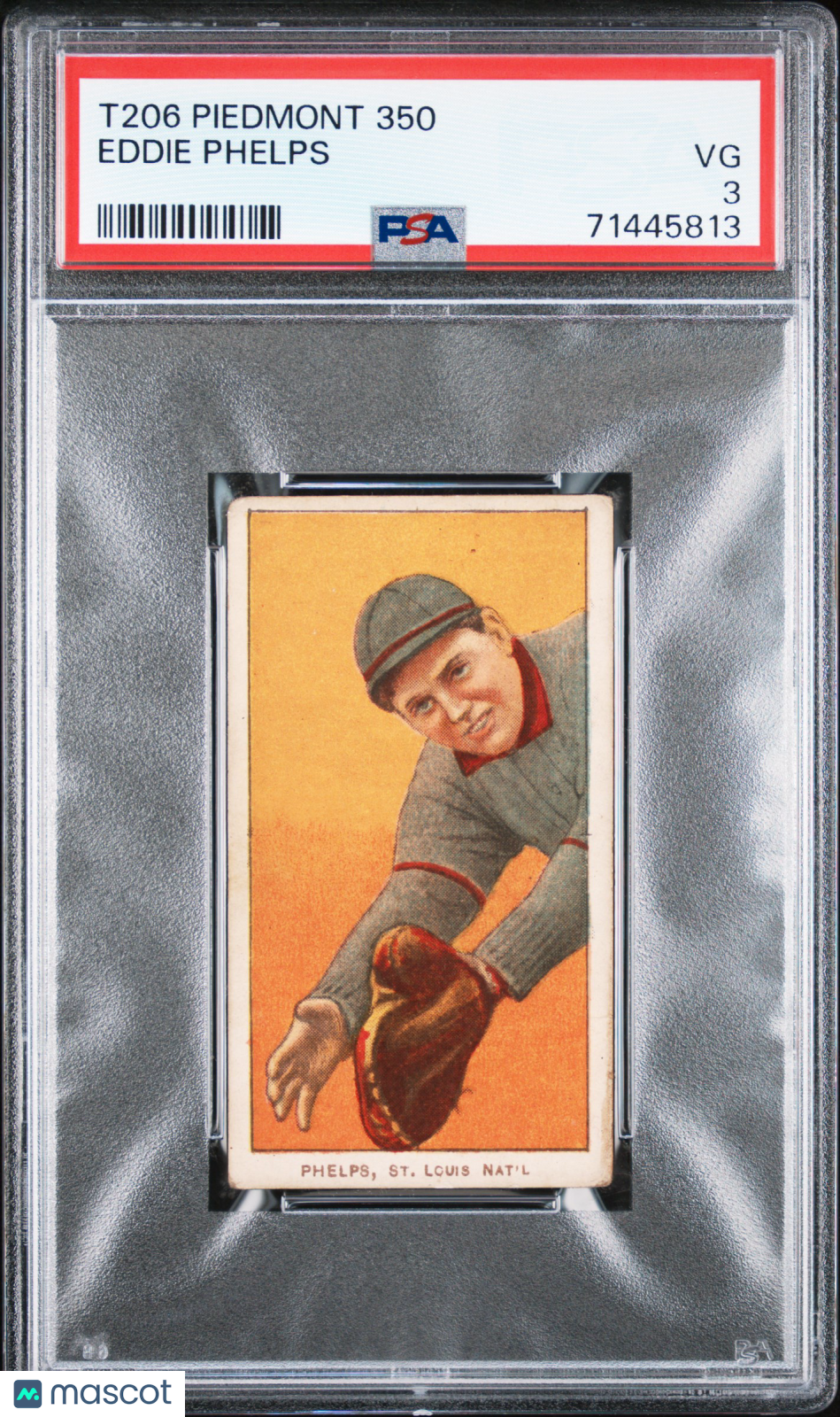 1909-11 T206 Piedmont 350 Eddie Phelps PSA 3