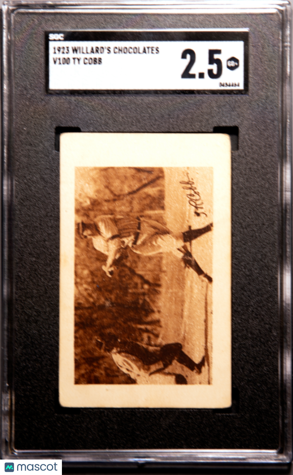 1923 Willard's Chocolates (V100) Ty Cobb SGC 2.5