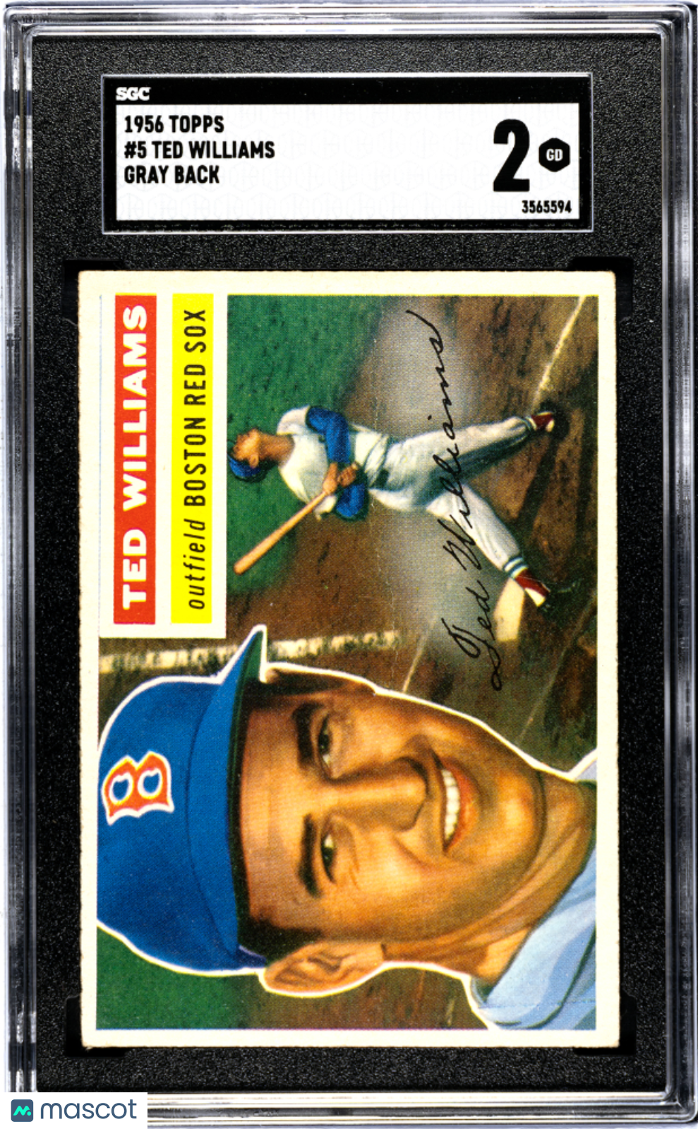 1956 Topps Ted Williams #5 Gray Back SGC 2
