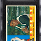1960 Topps Bob Clemente #326 SGC 4.5