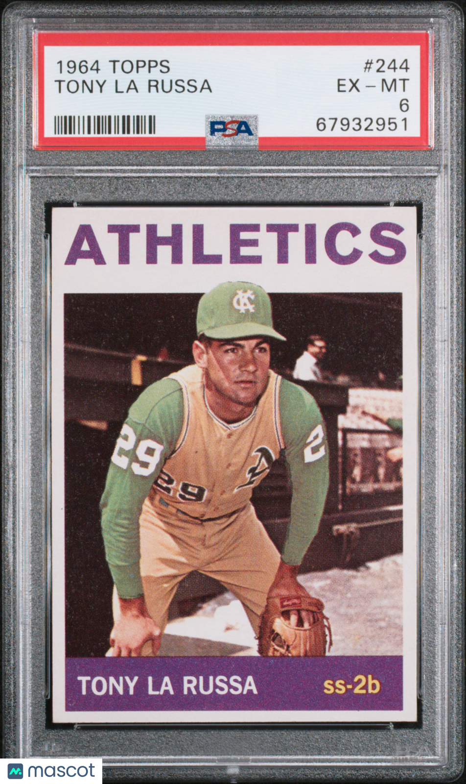 1964 Topps Tony La Russa #244 PSA 6