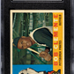 1960 Topps Bob Clemente #326 SGC 5