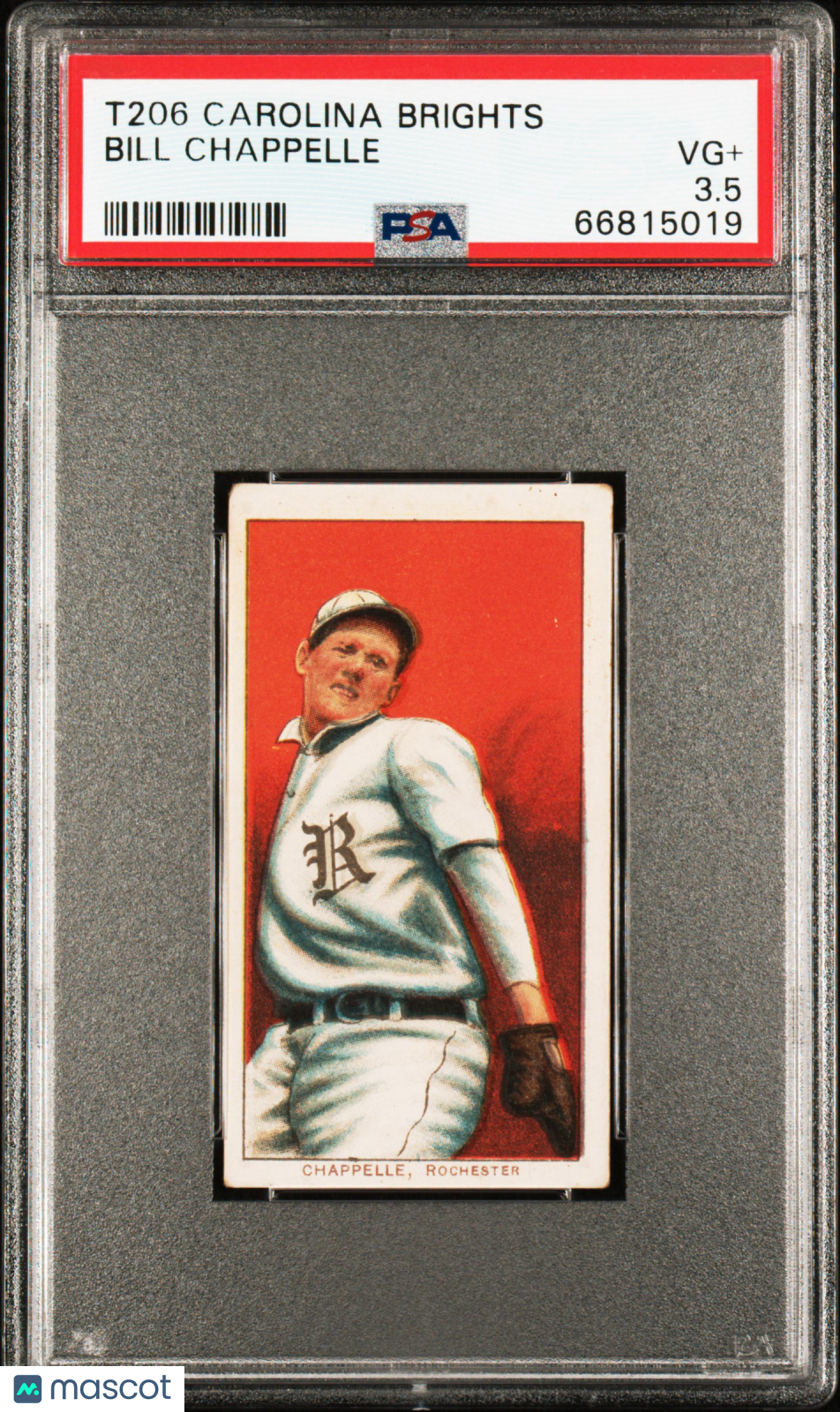 1909-11 T206 Carolina Brights Bill Chappelle PSA 3.5
