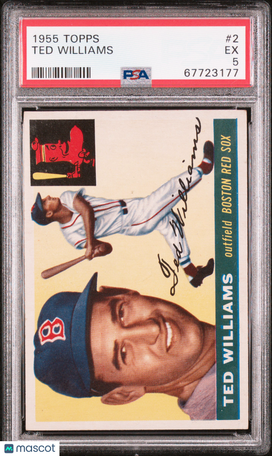 1955 Topps Ted Williams #2 PSA 5
