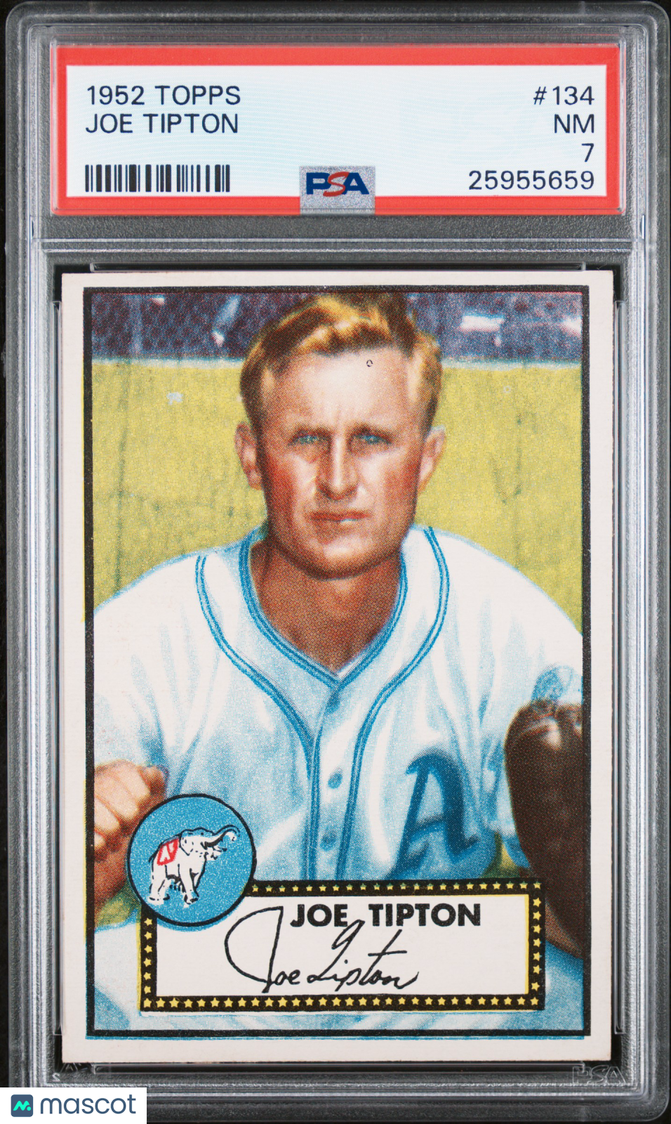 1952 Topps Joe Tipton #134 PSA 7