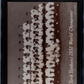 1947 Exhibits New York Yankees-1952 SGC 2