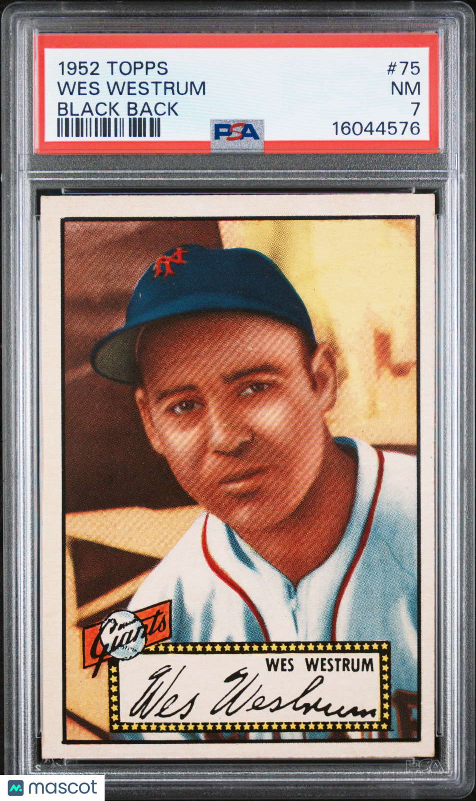 1952 Topps Wes Westrum #75 Black Back PSA 7
