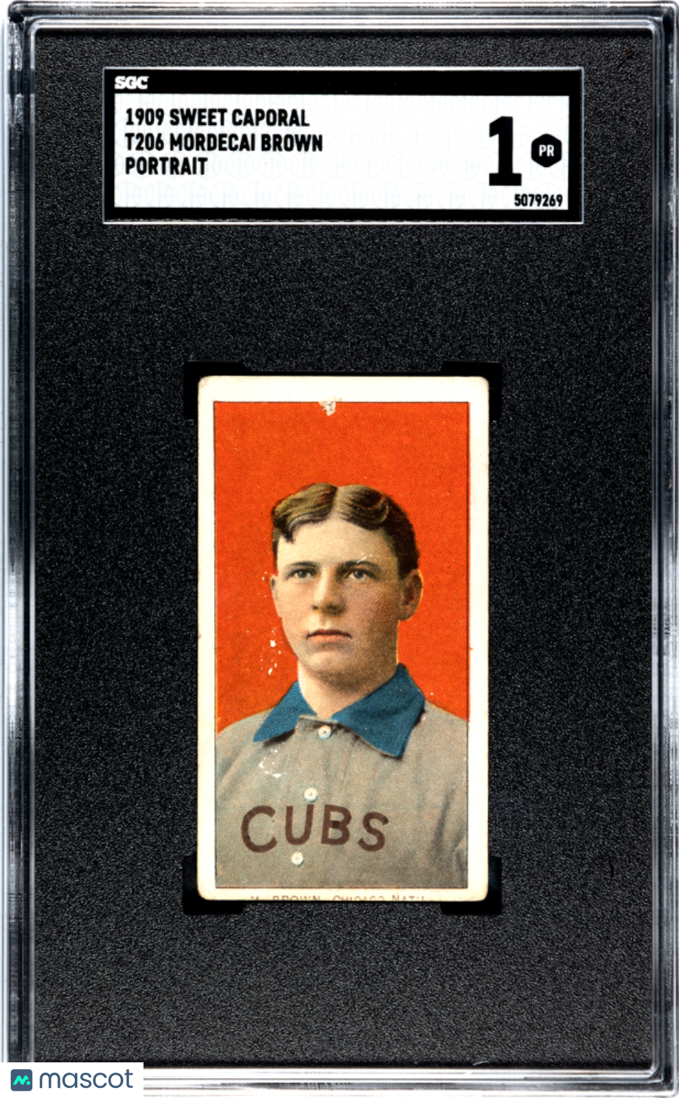 1909 Sweet Caporal (T206) Mordecai Brown Portrait SGC 1