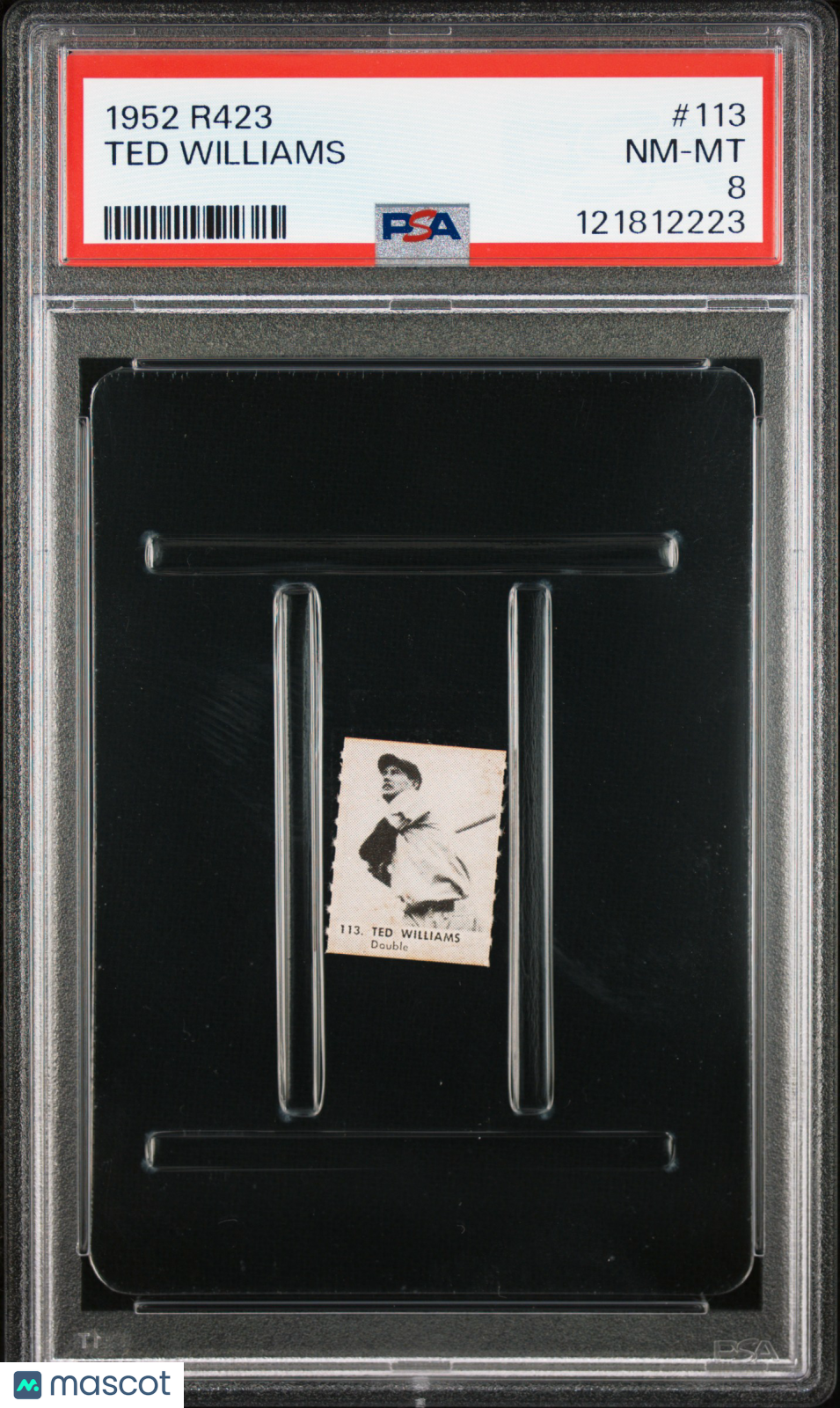 1952 R423 Oak Ted Williams #113 PSA 8