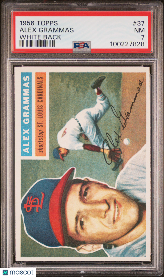 1956 Topps Alex Grammas #37 White Back PSA 7
